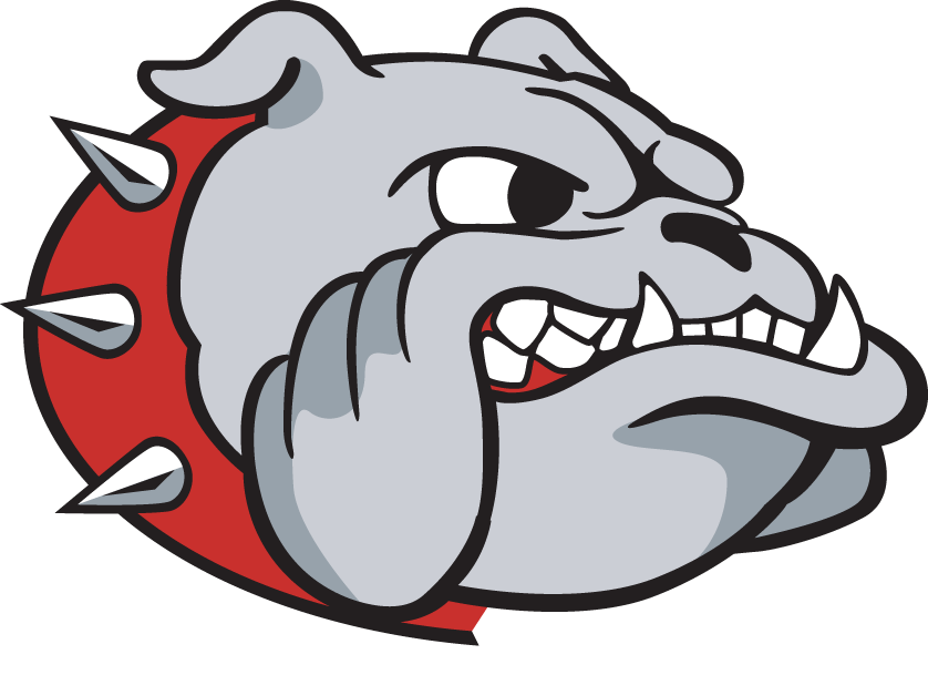 Samford Bulldogs 2000-Pres Secondary Logo DIY iron on transfer (heat transfer)